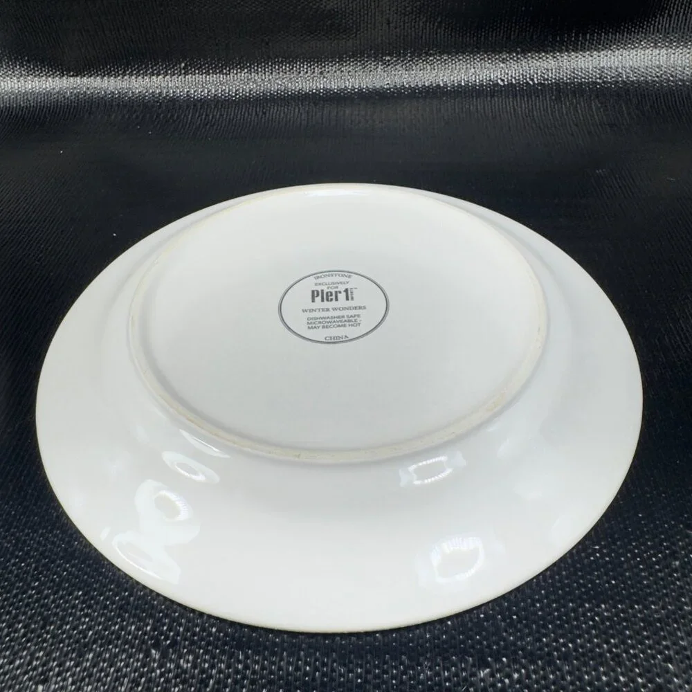 PIER 1 Winter Wonders Ironstone Plate Dish Set 4 Snowman Penguin Christmas 9inch